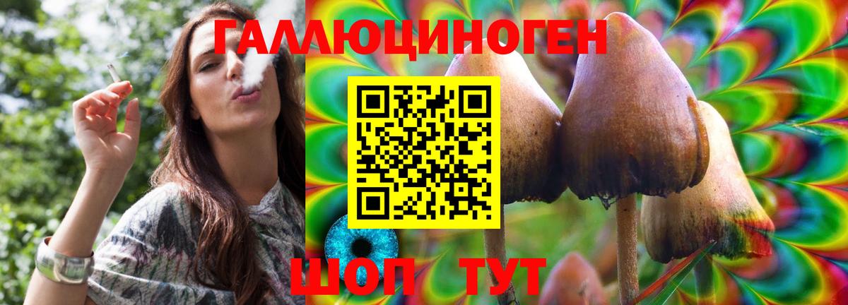 Псилоцибиновые грибы MAGIC MUSHROOMS Сафоново